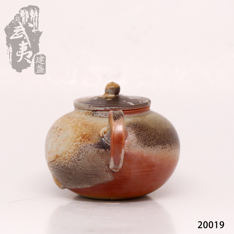 艺术匠心杨树，柴烧茶壶