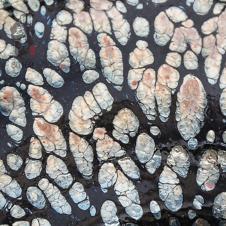 建盏大师李达，束口鹧鸪斑茶盏- 隐庐器