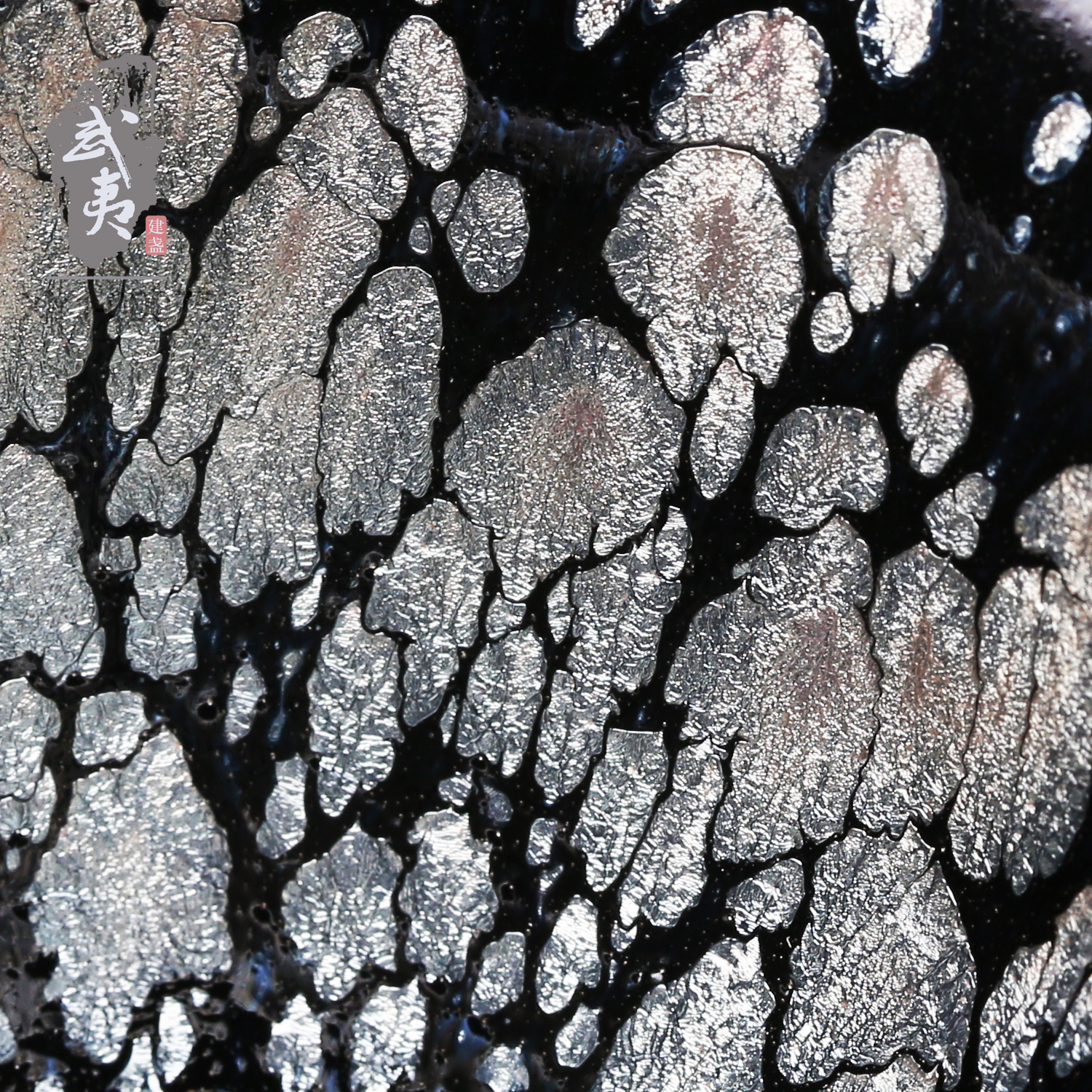 九星陶宮秘密奥傳 九星陶宮秘密奥傳