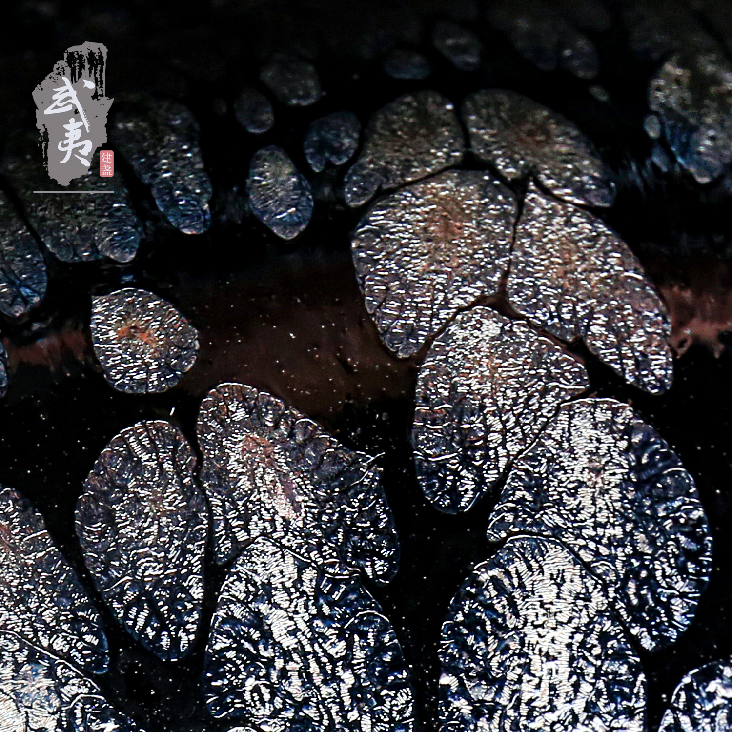 ⭐️ 香　炉　⭐️   ◼️染錦 梅牡丹◼️ 梅牡丹◼️  香　炉　⭐️ ⭐️  ◼️染錦